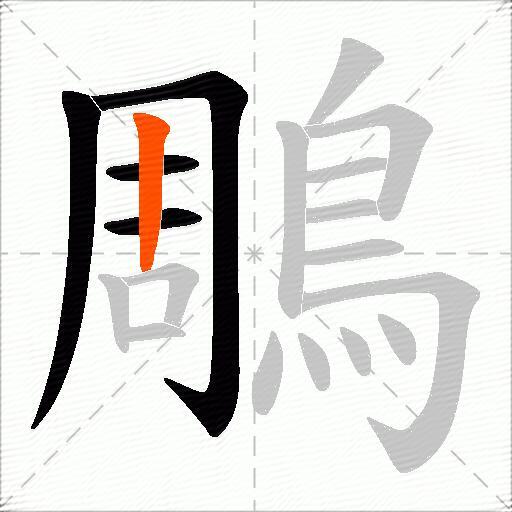 鵰