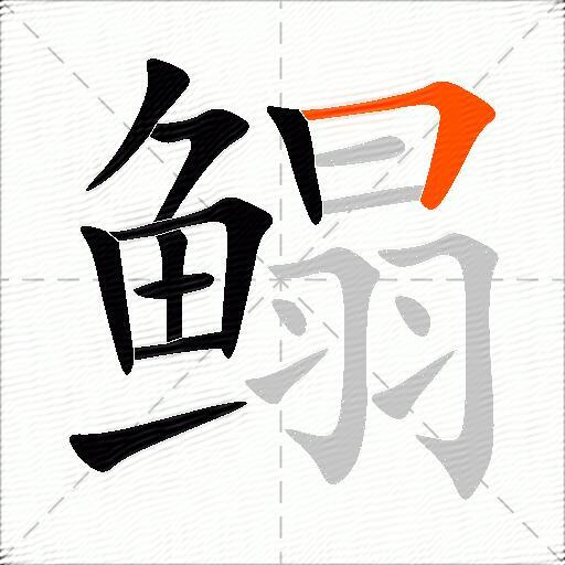鳎