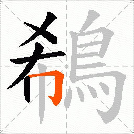 鵗