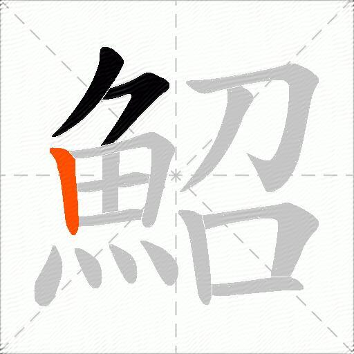 鮉