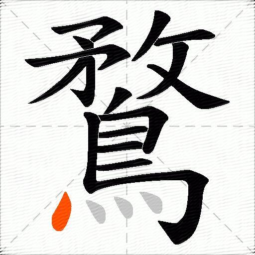 鶩