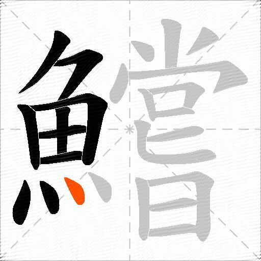 鱨