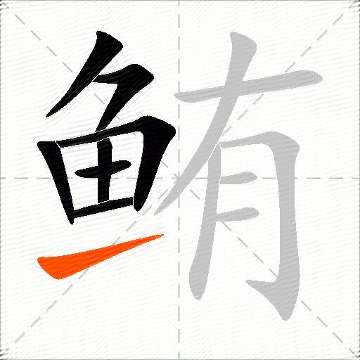 鲔