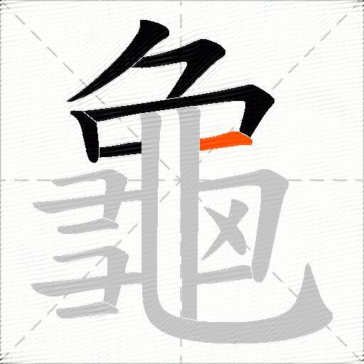 龜