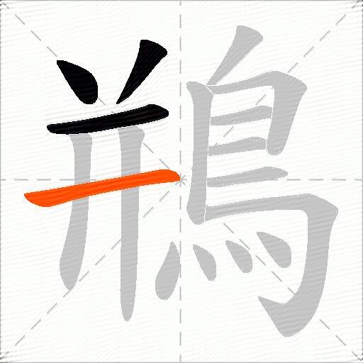 鵧