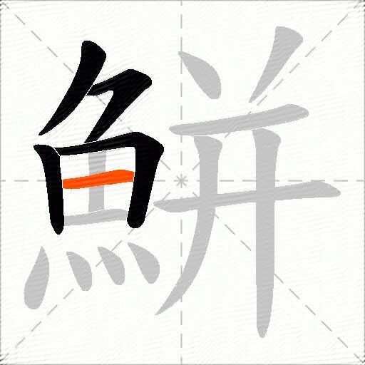 鮩