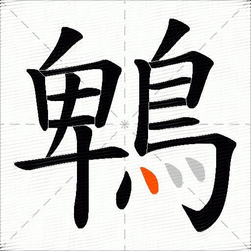 鵯