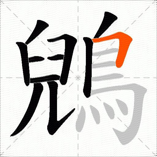 鶂