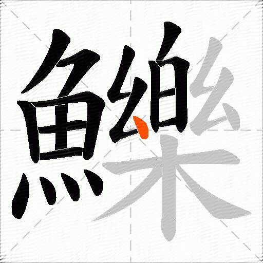 鱳