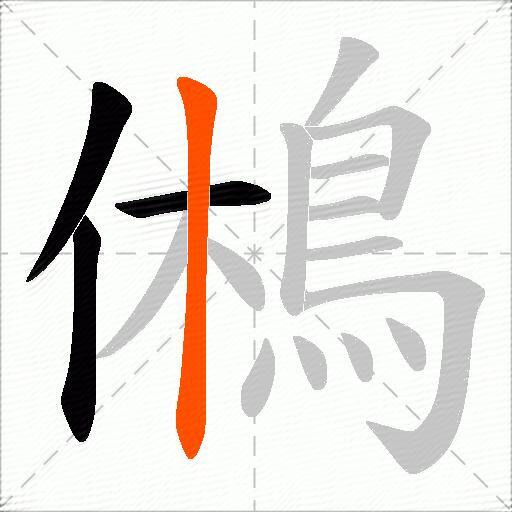 鵂