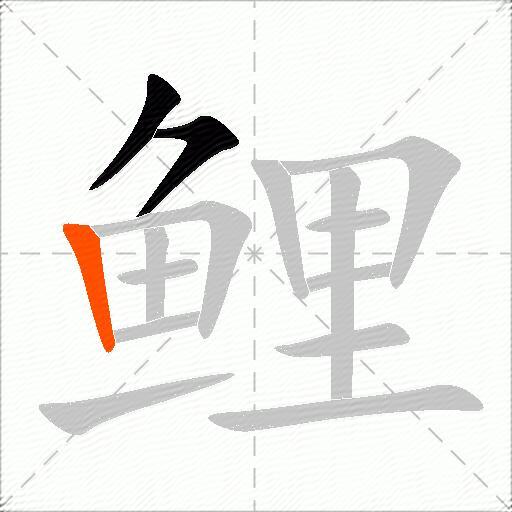 鲤