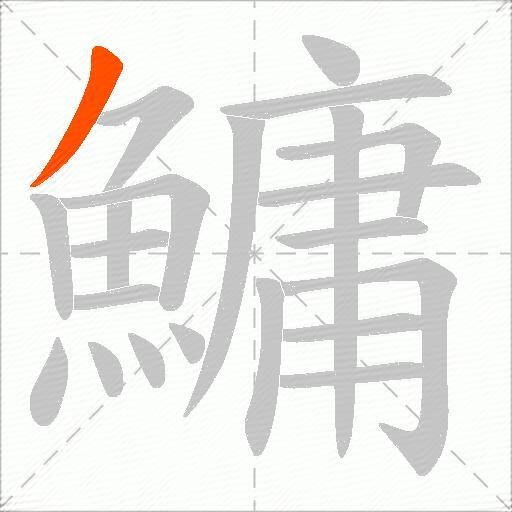 鱅