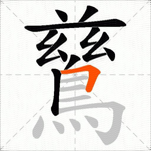 鶿