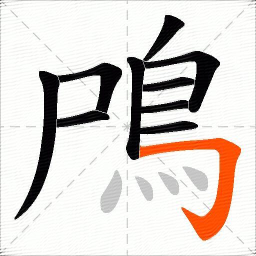 鳲