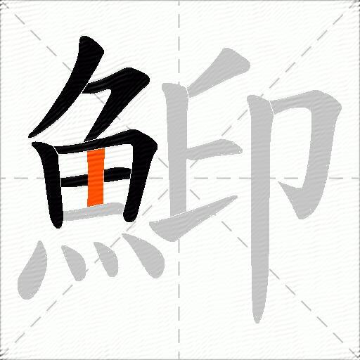 鮣