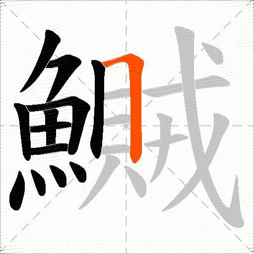 鱡