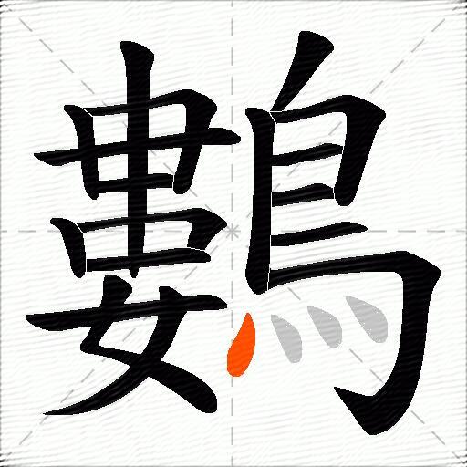 鷜
