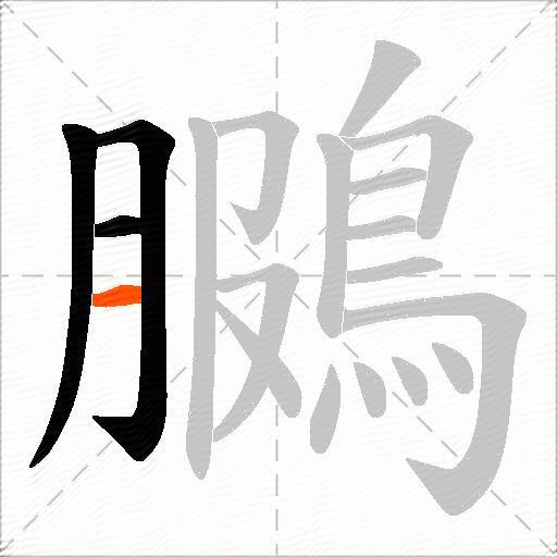 鵩