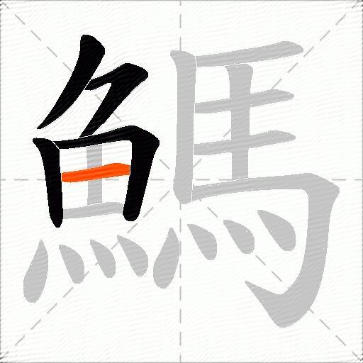鰢