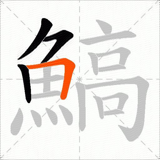 鰝