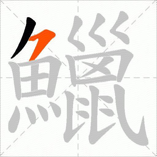 鱲
