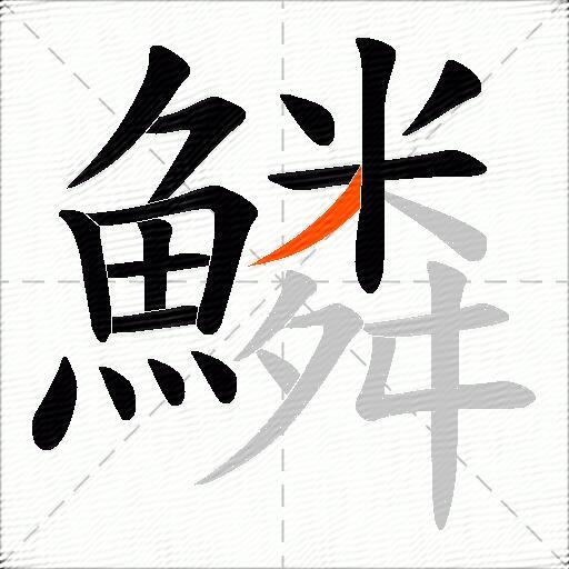 鱗