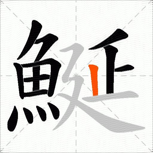鯅