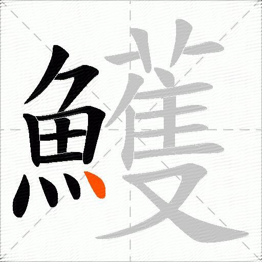 鱯