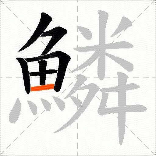 鱗