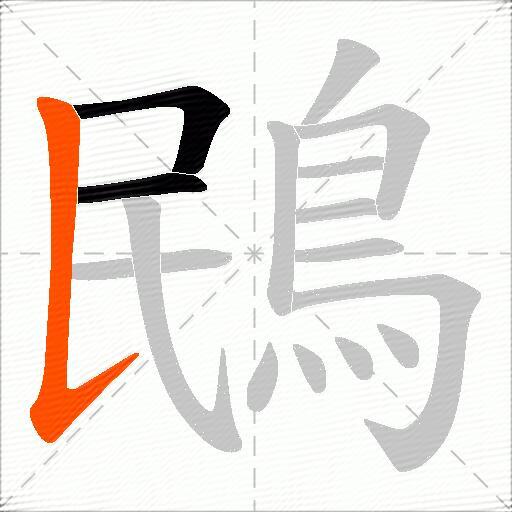 鴖