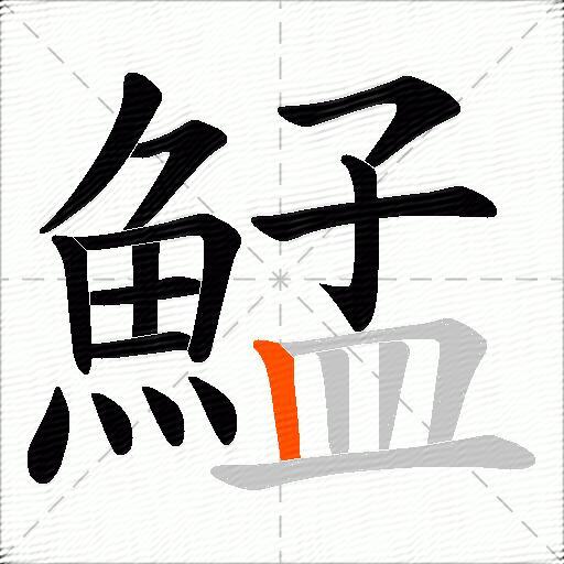 鯭