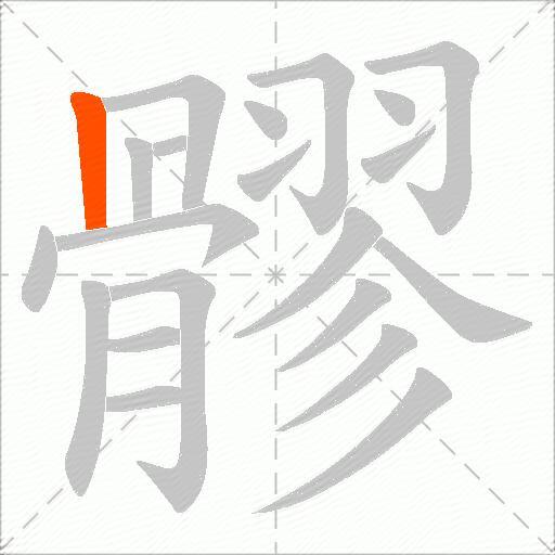 髎