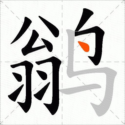 鹟