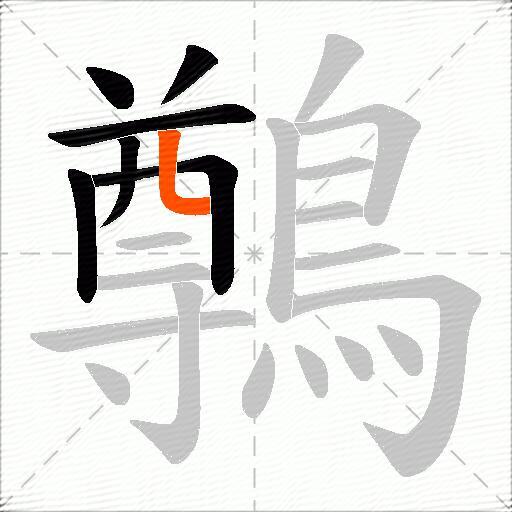 鷷