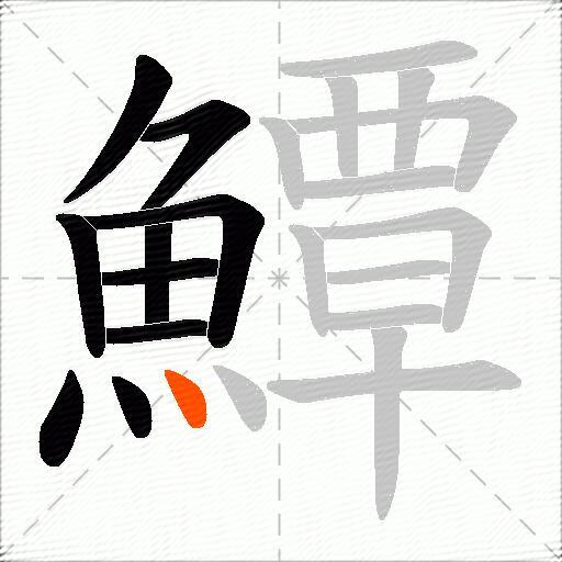 鱏