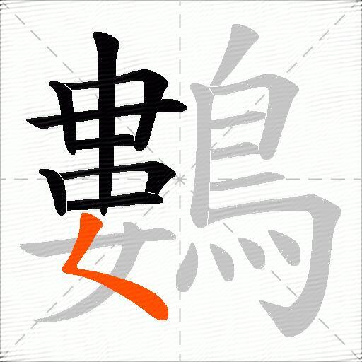 鷜