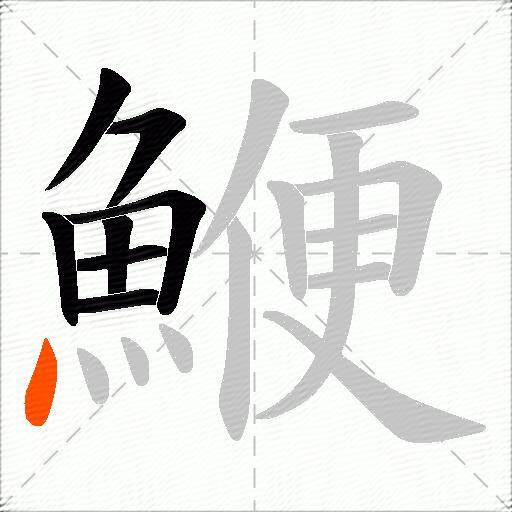 鯾