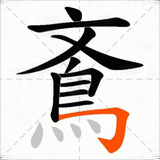 鴍