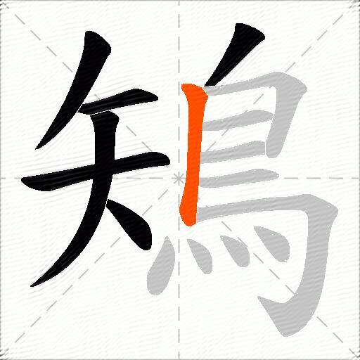 鴙