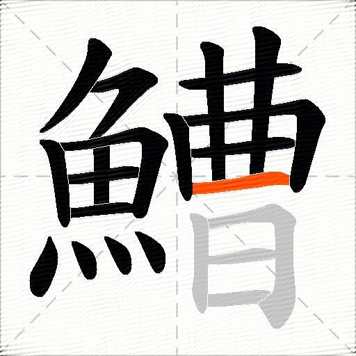 鰽