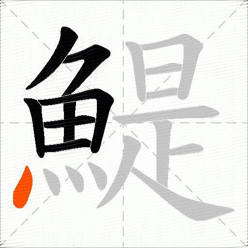 鯷