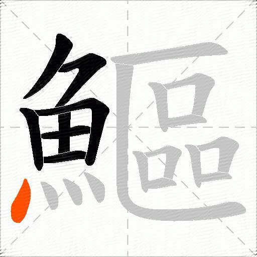 鰸