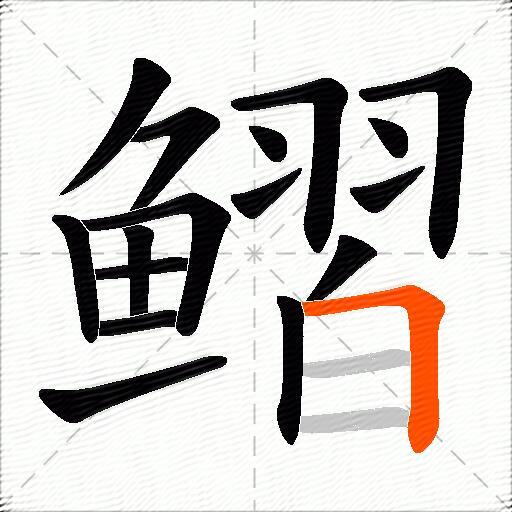 鳛