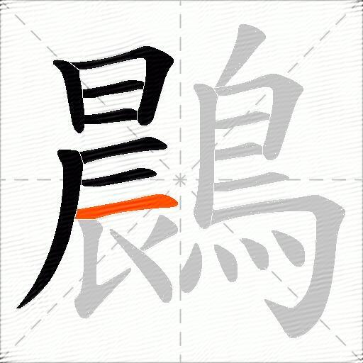 鷐