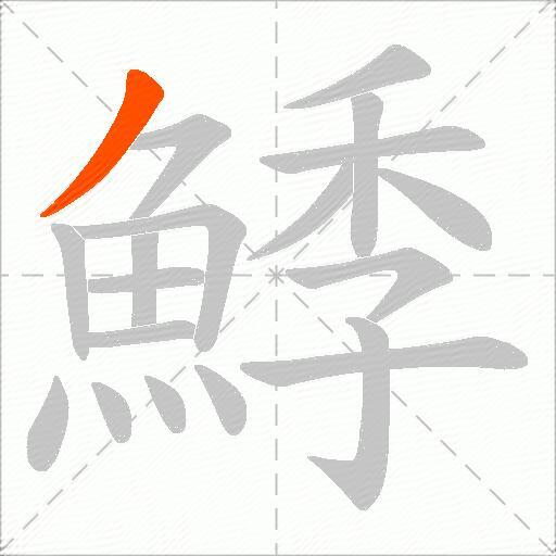 鯚
