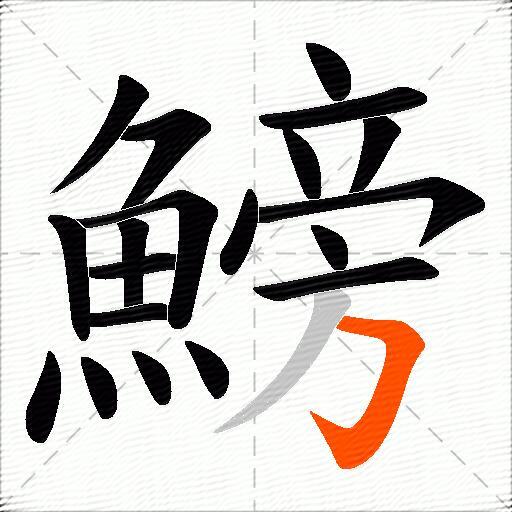 鰟