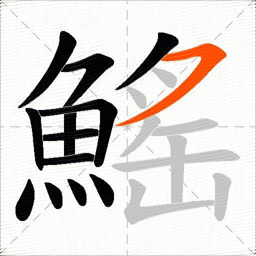 鰩