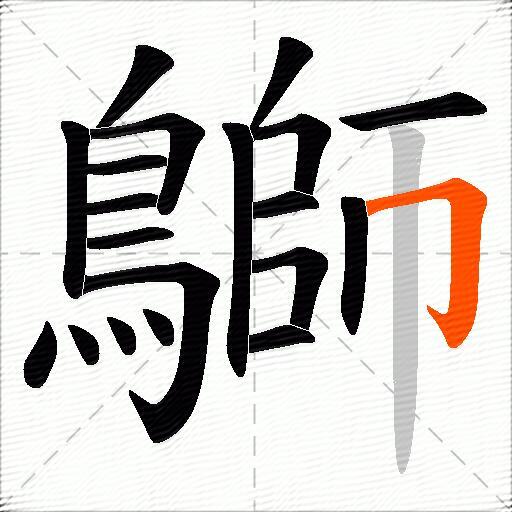 鶳