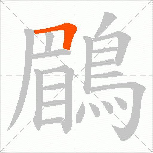 鶥