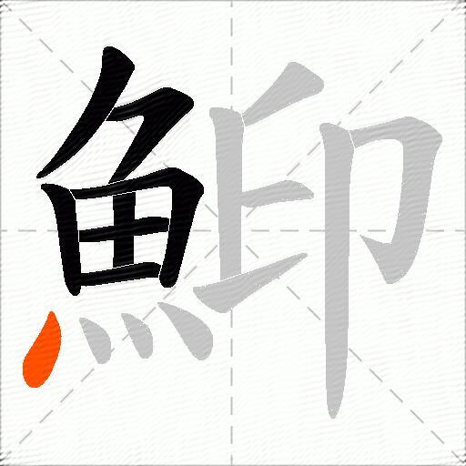鮣